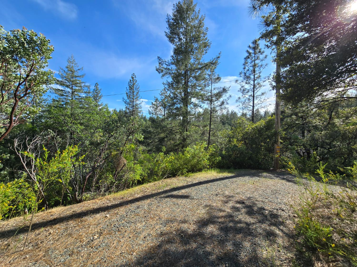 0 P C Lane Colfax, CA 95713 - Photo 4 of 8 a view of a green field with lots of bushes