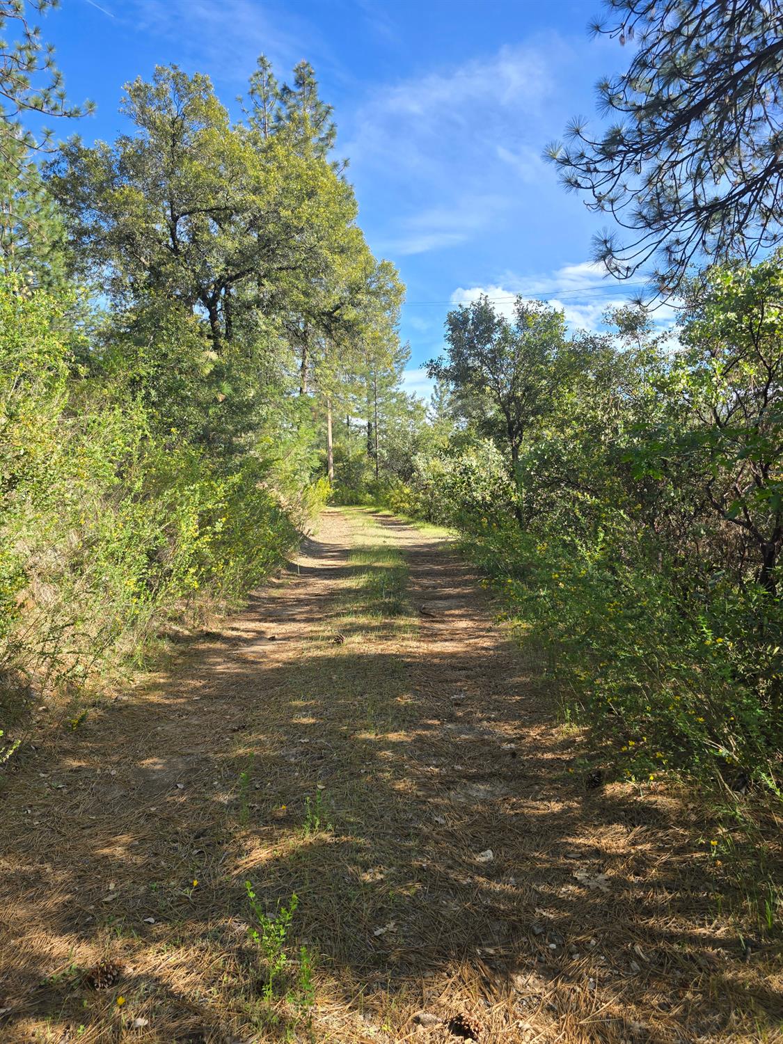 0 P C Lane Colfax, CA 95713 - Photo 5 of 8 a view of a lake view