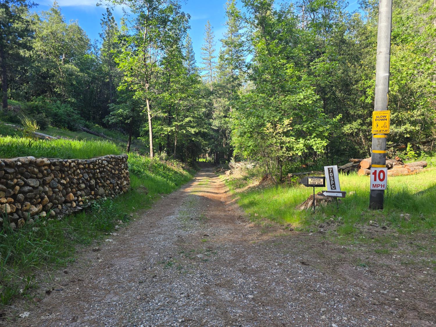 0 P C Lane Colfax, CA 95713 - Photo 8 of 8 a view of a park with large trees