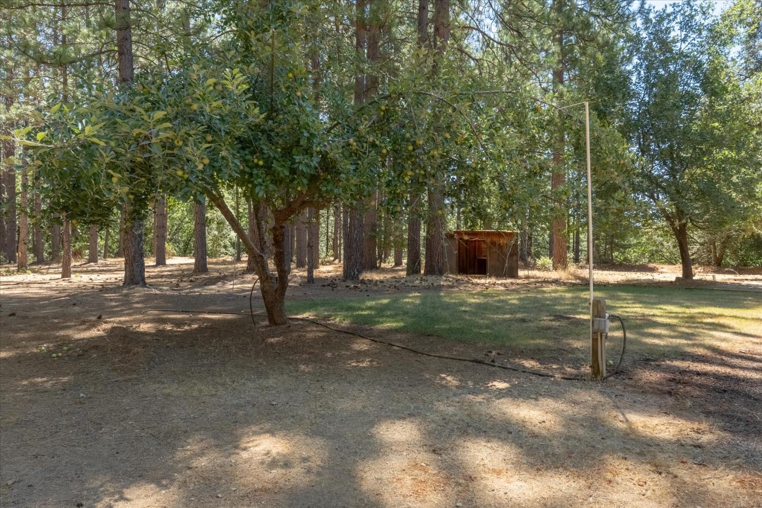 1997 Independence Cemetery Road Rail Road Flat, CA 95245 - Photo 30 of 37