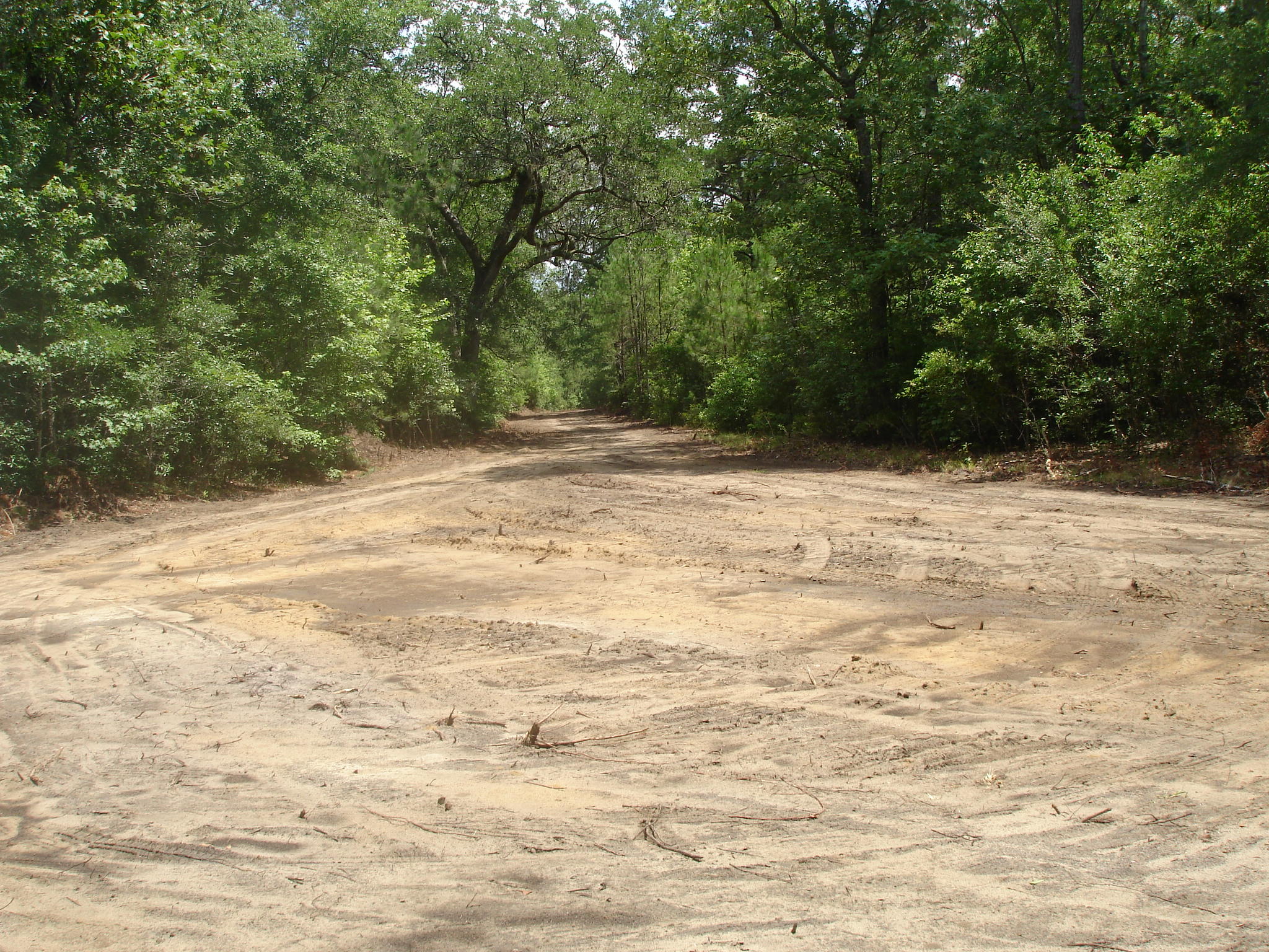 4 Klh Platt Road Ravenel, SC 29470 - Photo 1 of 8 Platt Sullins (8)