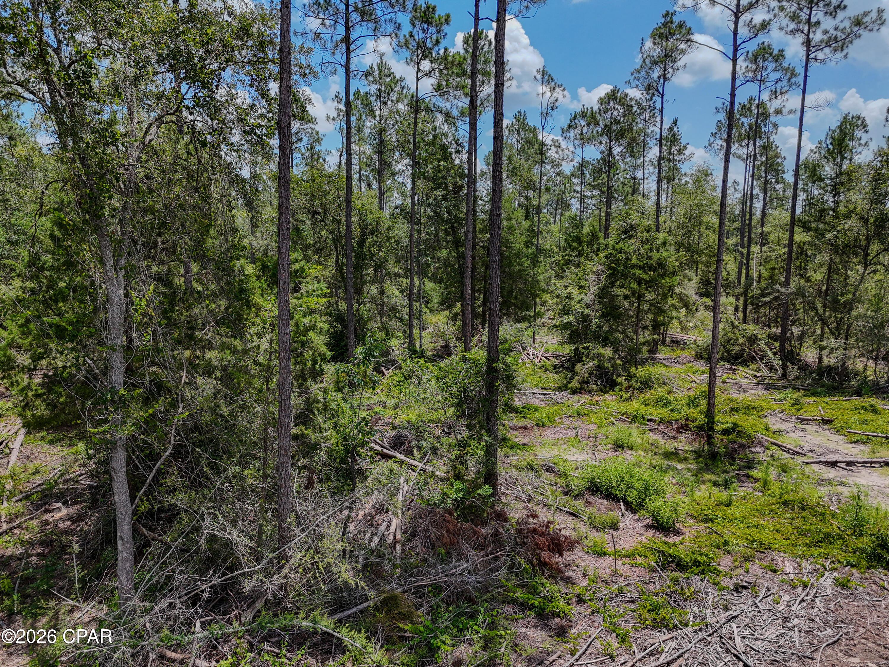0 Wells Road Bonifay, FL 32425 - Photo 13 of 15