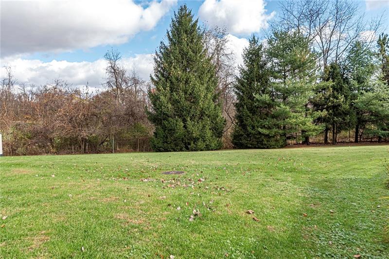 115 Nike Road Coraopolis, PA 15108 - Photo 24 of 25 Large, flat back yard full of potential.