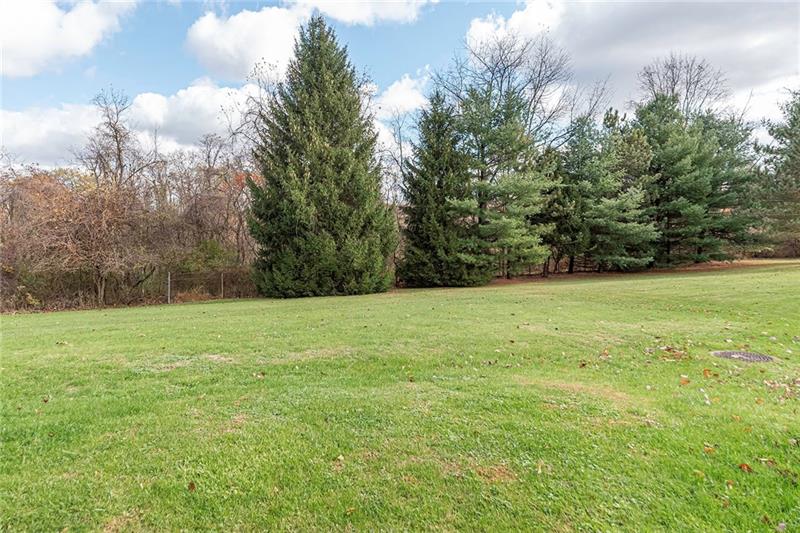 115 Nike Road Coraopolis, PA 15108 - Photo 25 of 25 Enjoy watching the 4 seasons change with this spacious back yard.