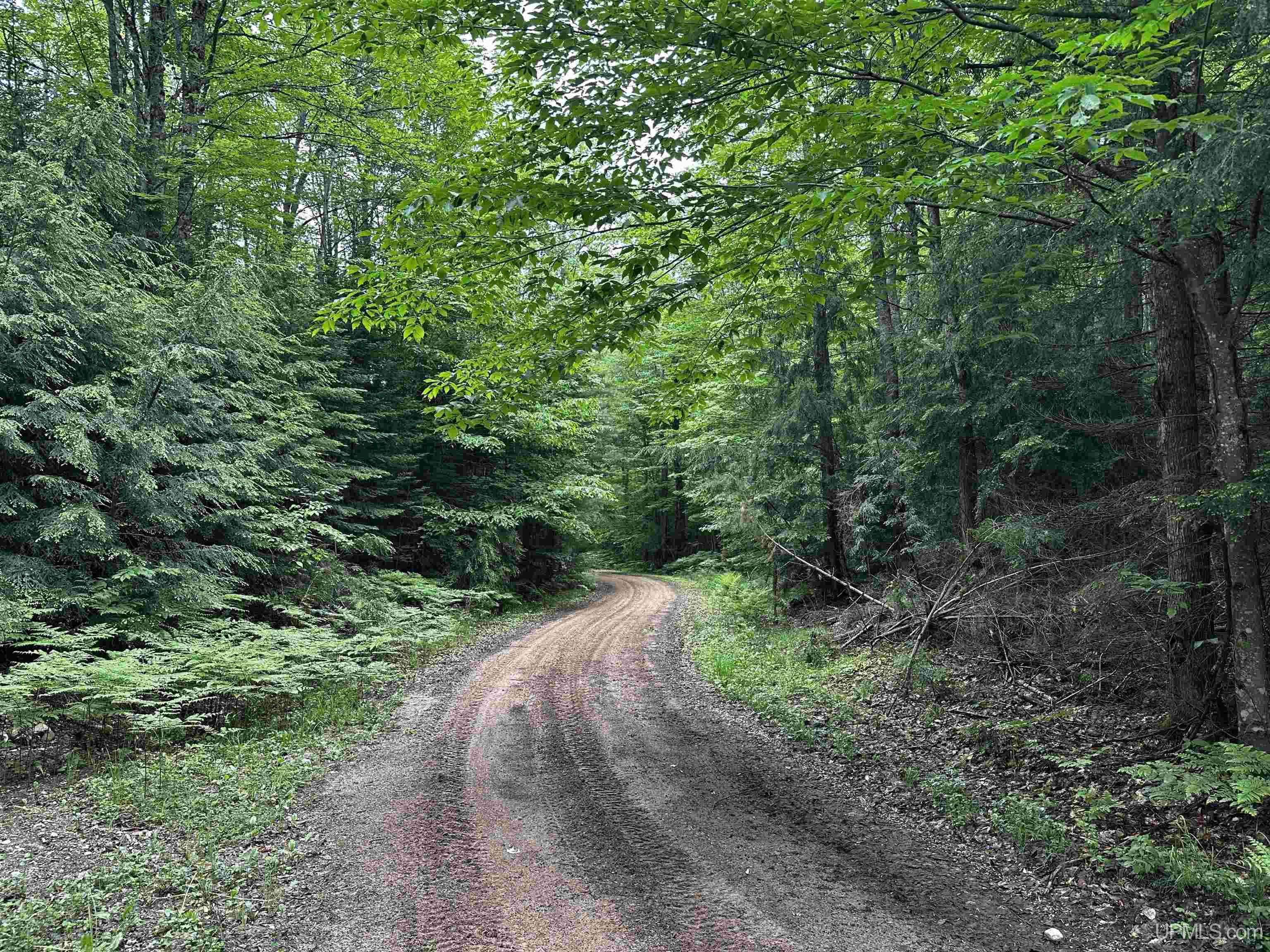 N731 Anne Road Wetmore, MI 49895 - Photo 50 of 58