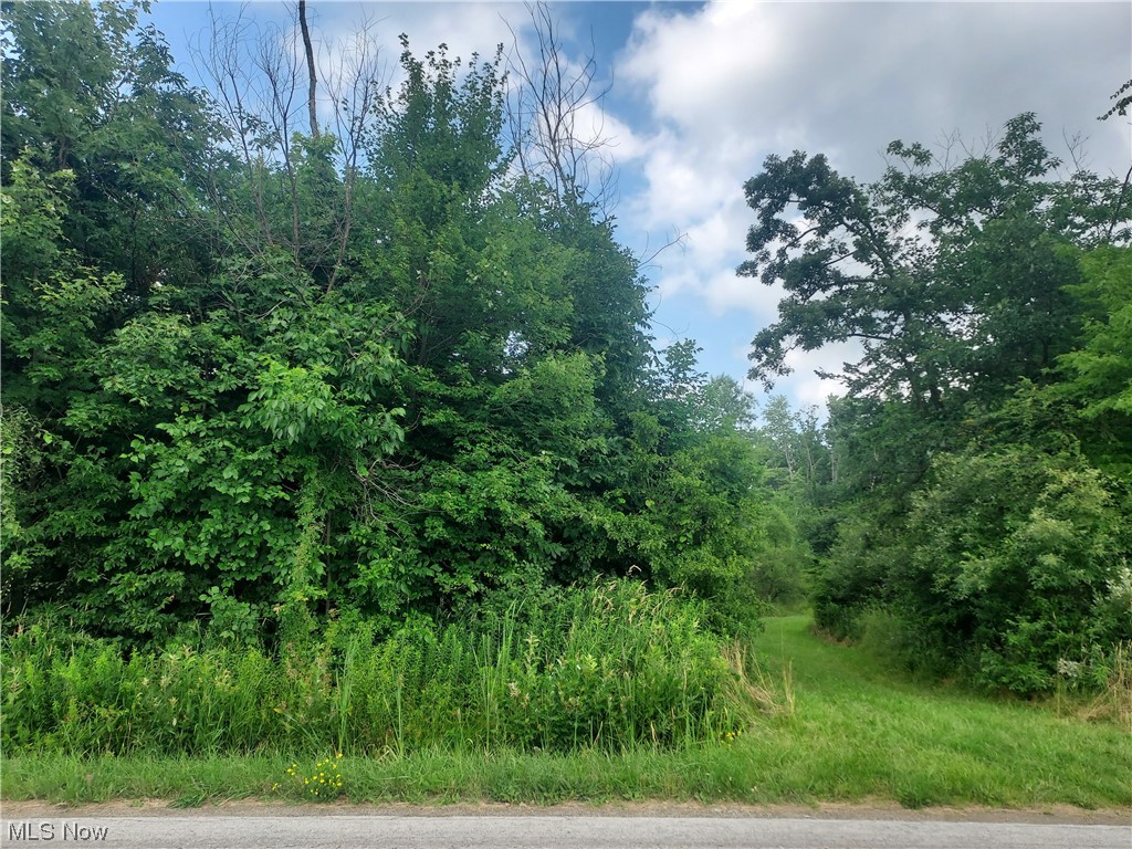 Bulah Road Jefferson, OH 44047 - Photo 1 of 11 Gallery Image 1