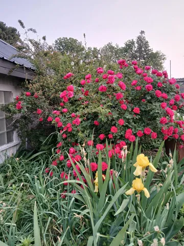 $424,900 | N579 County Highway South, Juda, WI 53550