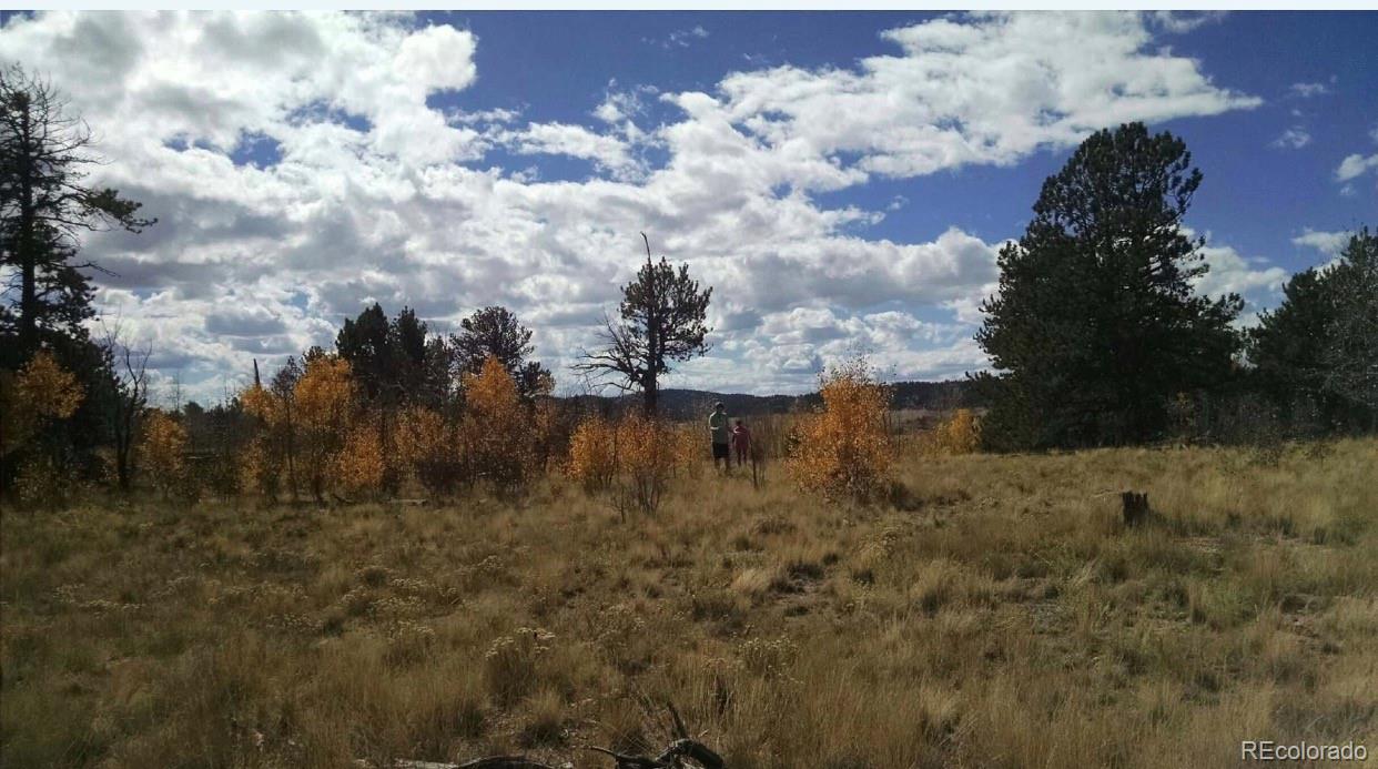364 Yellowstone Road Hartsel, CO 80449 - Photo 1 of 4 a view of lake