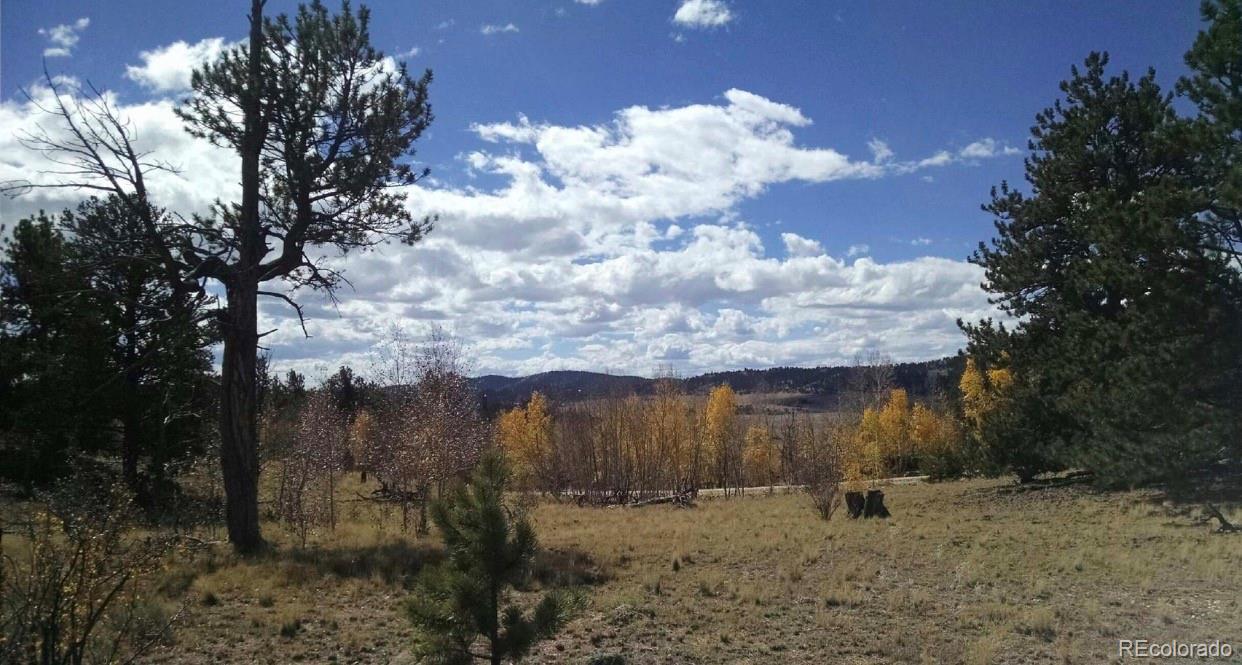 364 Yellowstone Road Hartsel, CO 80449 - Photo 2 of 4 a backyard of a house with lots of green space