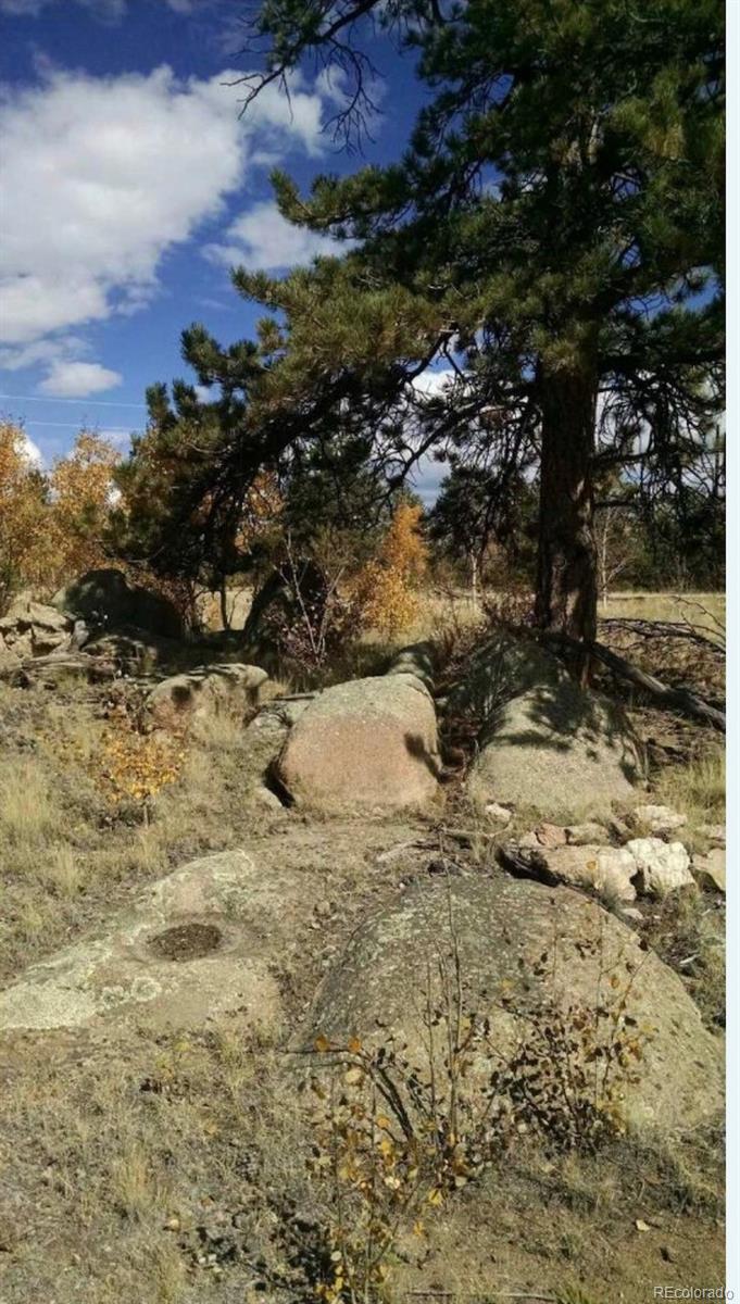 364 Yellowstone Road Hartsel, CO 80449 - Photo 4 of 4 a view of a yard
