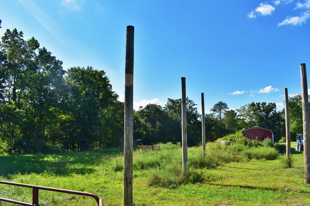 4354 Wolf Creek Road Spring City, TN 37381 - Photo 22 of 70 Gallery Image 22
