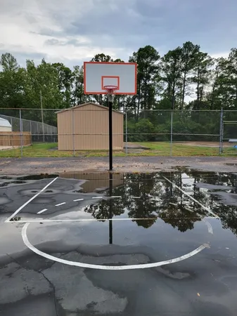 a view of a water fountain in a yard