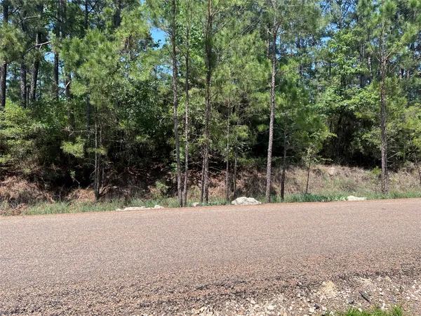 a view of outdoor space with trees