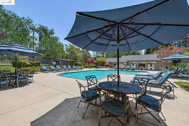 a view of a flower garden