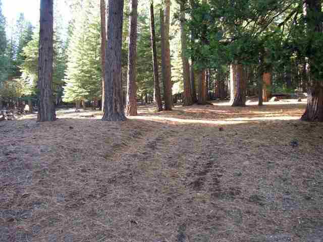 675 East Mountain Ridge Road Westwood, CA 96137 - Photo 1 of 2 Gallery Image 1