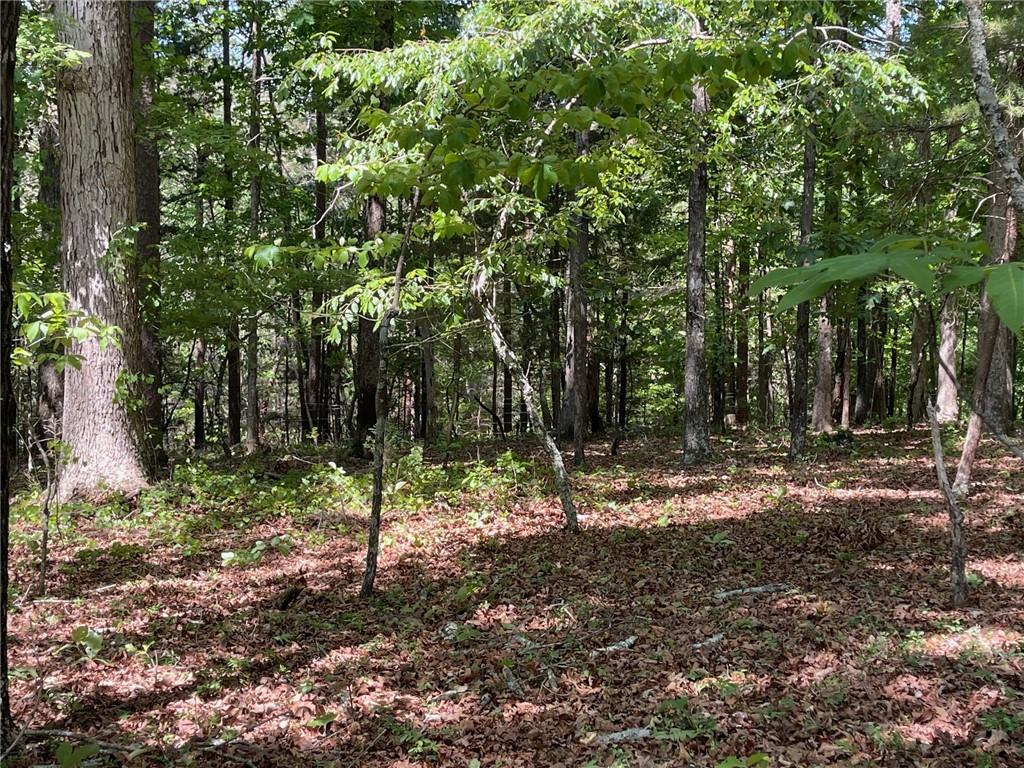 1 B Chalcrest Way Cave Spring, GA 30124 - Photo 15 of 52