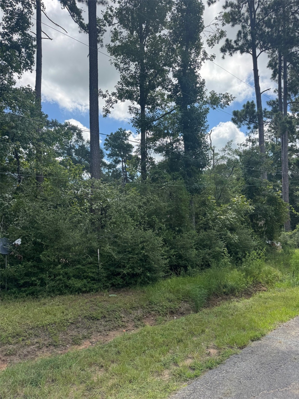 3629 Hickock Lane Willis, TX 77378 - Photo 1 of 4