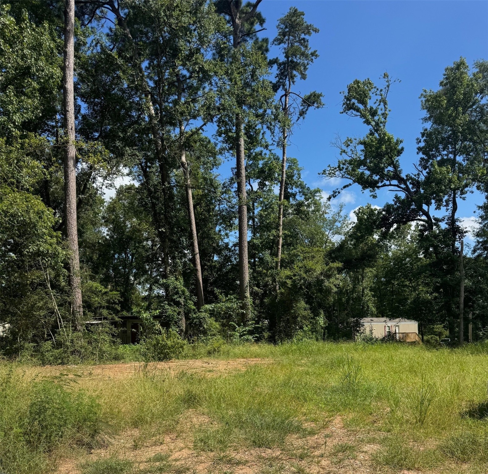 3629 Hickock Lane Willis, TX 77378 - Photo 2 of 4