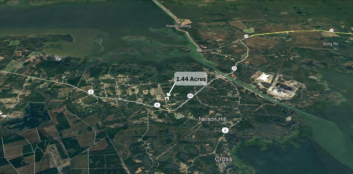 123 Spring Plains Road Cross, SC 29436 - Photo 3 of 7 1.44 Acres 1