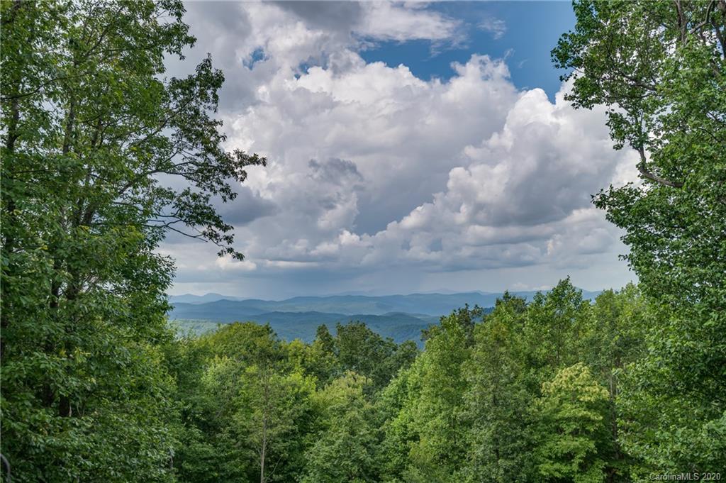 765 Summit Road Tryon, NC 28782 - Photo 4 of 41