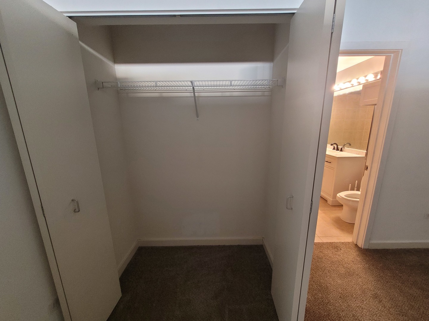 1720 South Michigan Avenue, Unit 1414 Chicago, IL 60616 - Photo 18 of 19