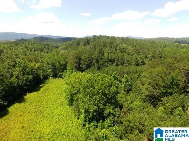 436 Newbury's Road, Unit 79 ACRES Ashland, AL 36251 - Photo 8 of 27
