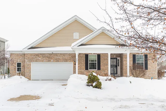 a view of a white house with a large tree in front of it