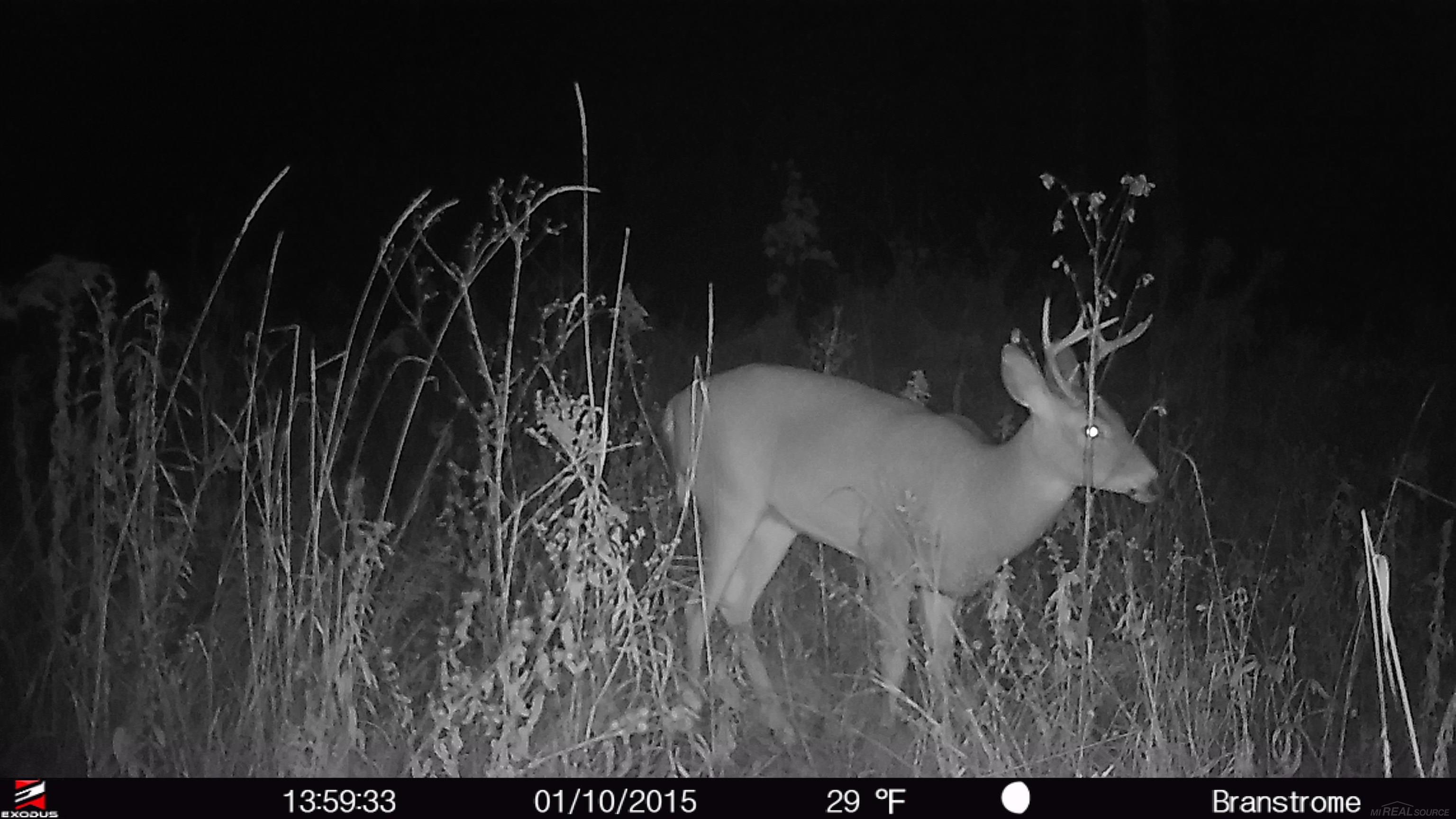 Xxx Ford River Road Felch, MI 49831 - Photo 32 of 32 Gallery Image 32