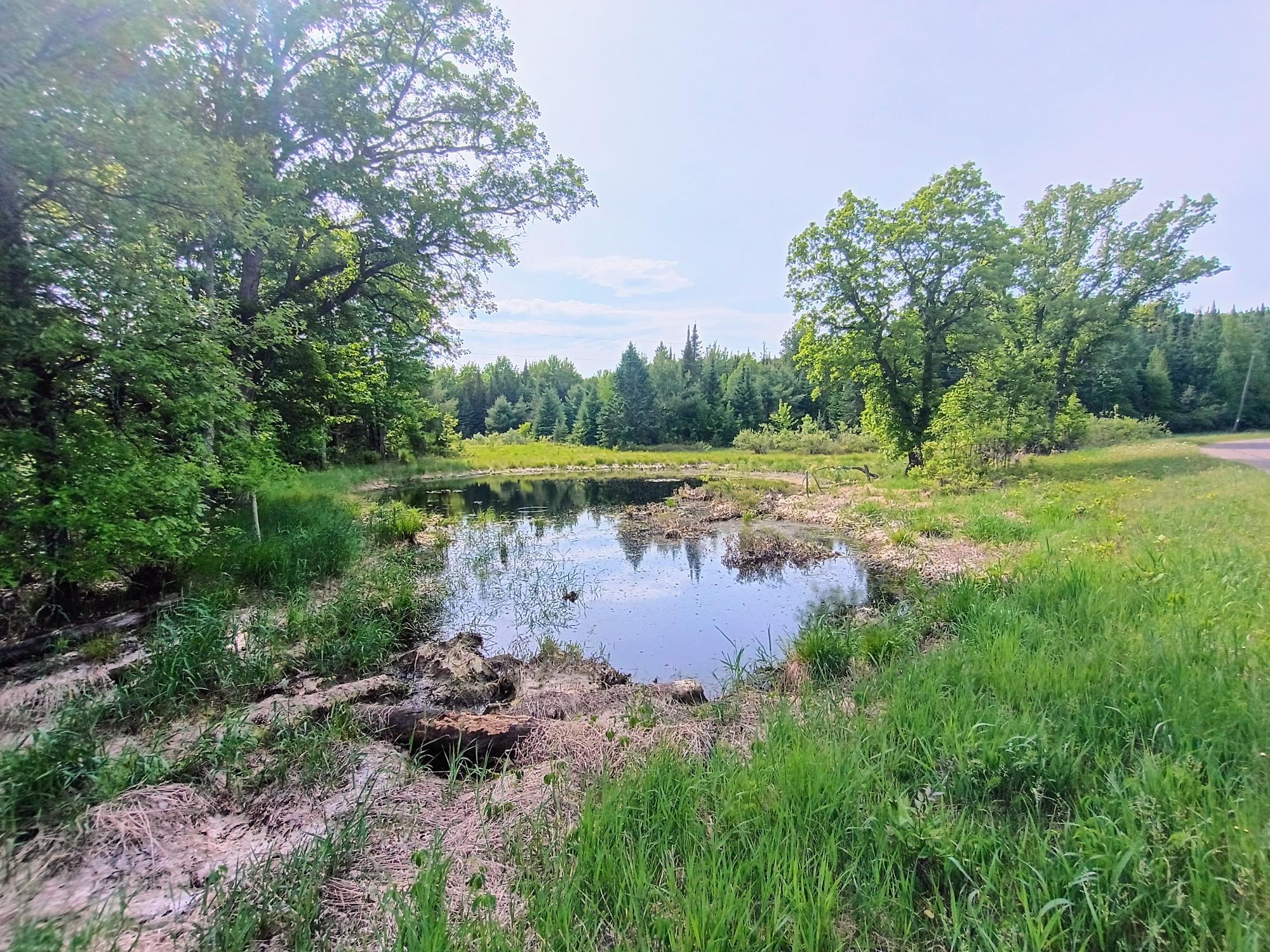 76248 Bear Lake Road Butternut, WI 54514 - Photo 73 of 82 Gallery Image 73