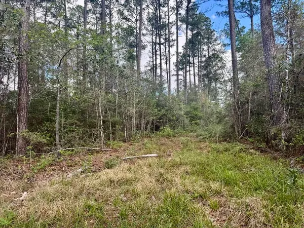 $70,000 | Lot 281 Lakeland Ranch Drive, Woodville, TX 75979