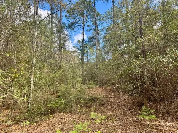 $70,000 | Lot 281 Lakeland Ranch Drive, Woodville, TX 75979