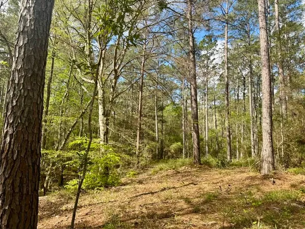 $70,000 | Lot 281 Lakeland Ranch Drive, Woodville, TX 75979
