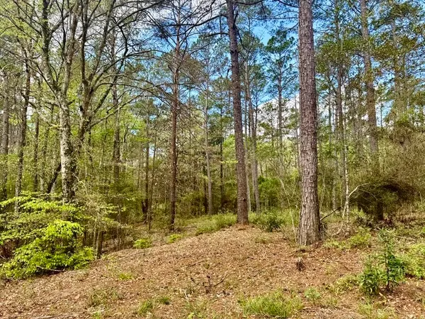 $70,000 | Lot 281 Lakeland Ranch Drive, Woodville, TX 75979