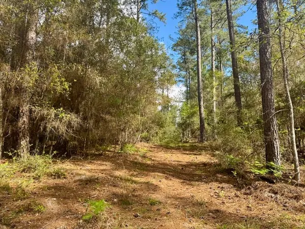 $70,000 | Lot 281 Lakeland Ranch Drive, Woodville, TX 75979