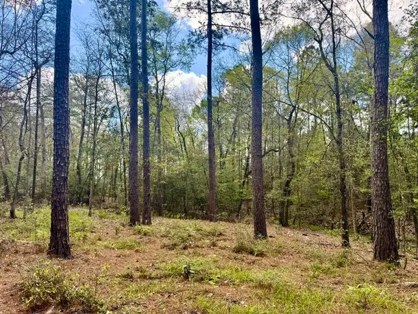 $70,000 | Lot 281 Lakeland Ranch Drive, Woodville, TX 75979
