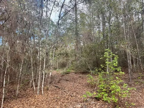 $70,000 | Lot 281 Lakeland Ranch Drive, Woodville, TX 75979