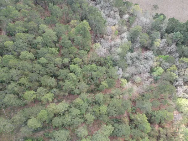 $70,000 | Lot 281 Lakeland Ranch Drive, Woodville, TX 75979