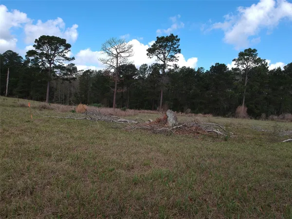 $70,000 | Lot 281 Lakeland Ranch Drive, Woodville, TX 75979