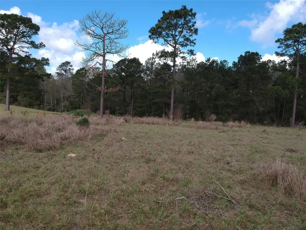 $70,000 | Lot 281 Lakeland Ranch Drive, Woodville, TX 75979