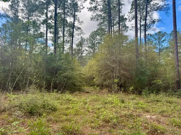 $70,000 | Lot 281 Lakeland Ranch Drive, Woodville, TX 75979