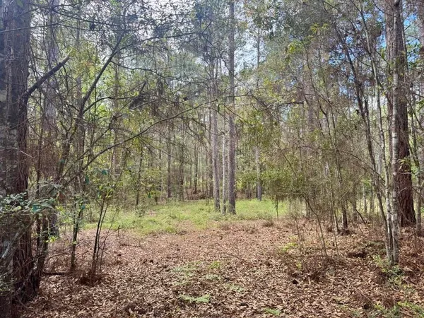 $70,000 | Lot 281 Lakeland Ranch Drive, Woodville, TX 75979