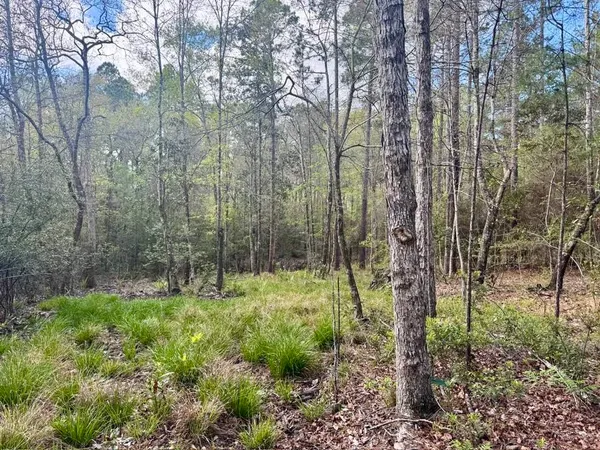 $70,000 | Lot 281 Lakeland Ranch Drive, Woodville, TX 75979