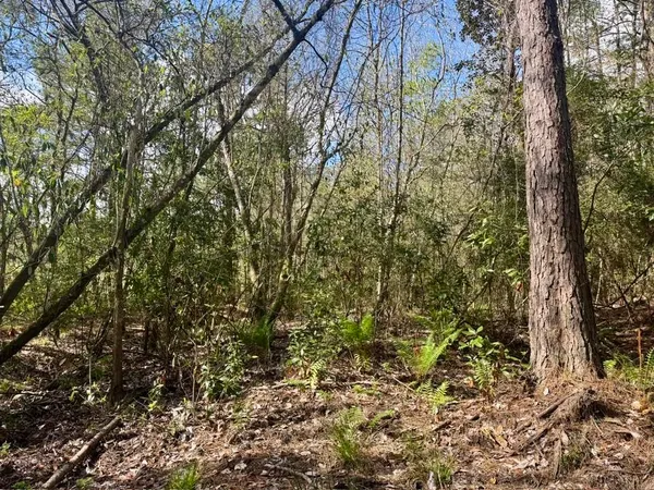 $70,000 | Lot 281 Lakeland Ranch Drive, Woodville, TX 75979