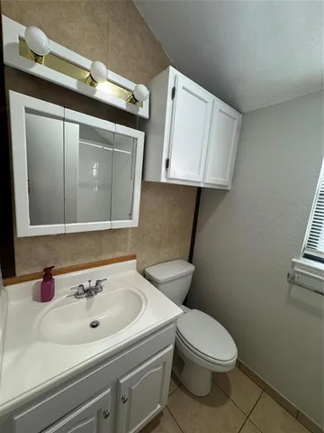 a bathroom with a sink a toilet and mirror