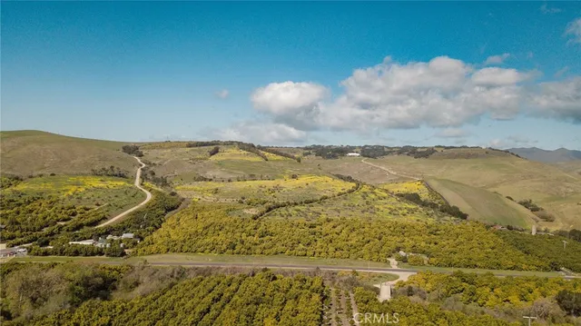 a backyard of a house with a yard and covered with green space