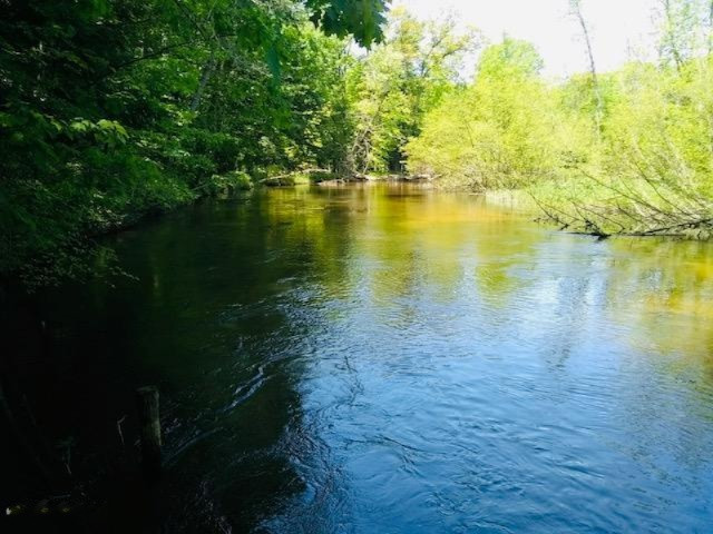4925 White Pine Road Manistee, MI 49660 - Photo 36 of 47 IMG_1487