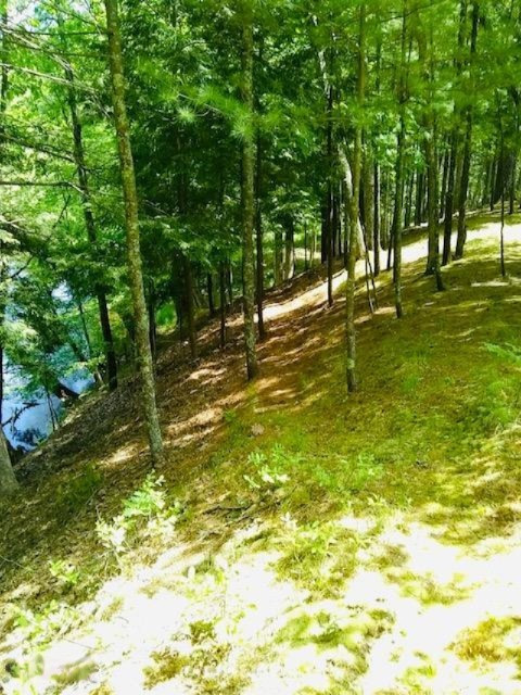 4925 White Pine Road Manistee, MI 49660 - Photo 42 of 47 IMG_1485