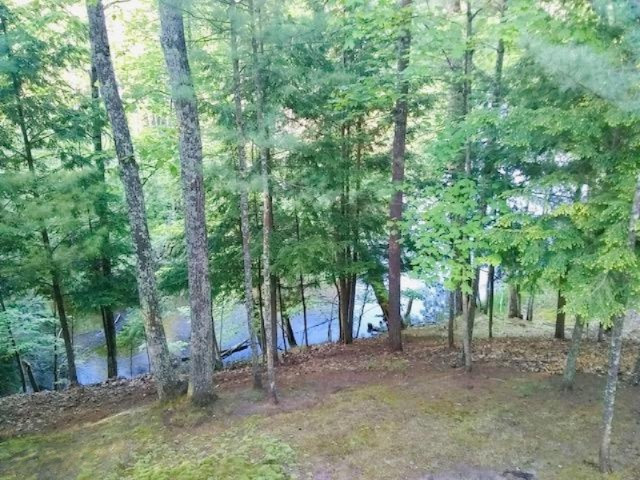 4925 White Pine Road Manistee, MI 49660 - Photo 47 of 47 IMG_1506(1)