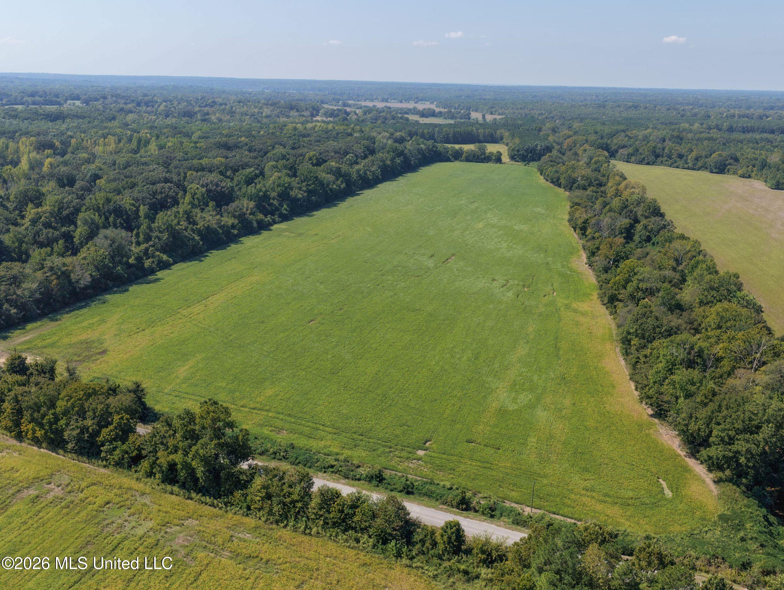 48-ac Old Panola Road Sardis, MS 38666 - Photo 19 of 30 7trtrwest4