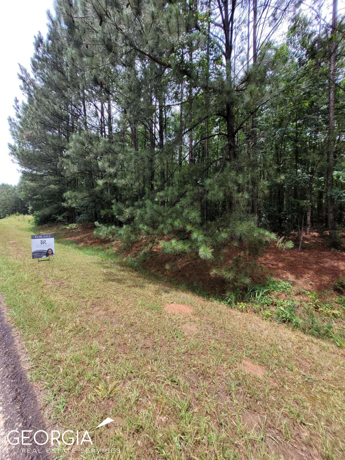 Lot 88 Rock Eagle Road Monticello, GA 31064 - Photo 1 of 1 Gallery Image 1
